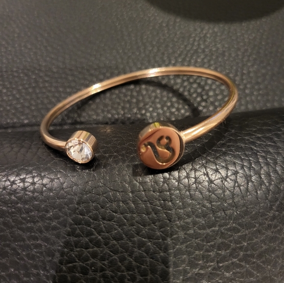 Stainless Steel Leo Bangle with Clear Crystal - Picture 4 of 7